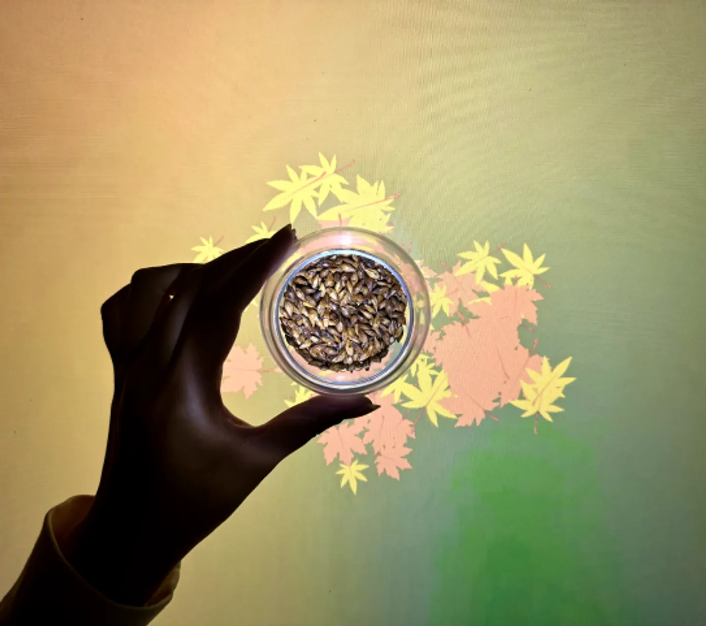 Image for the IxD project Blushed Experience