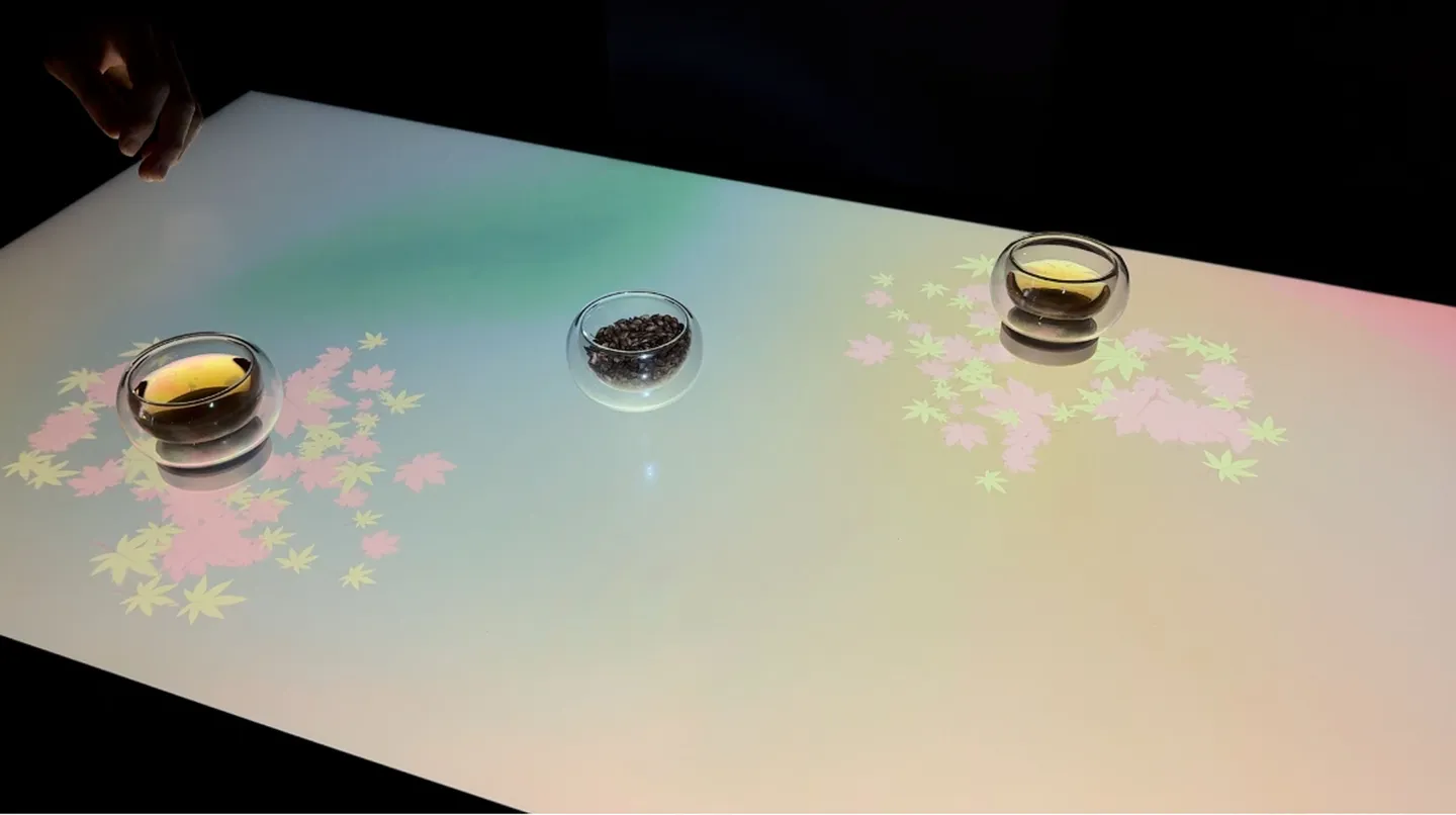 Image for the IxD project Blushed Experience