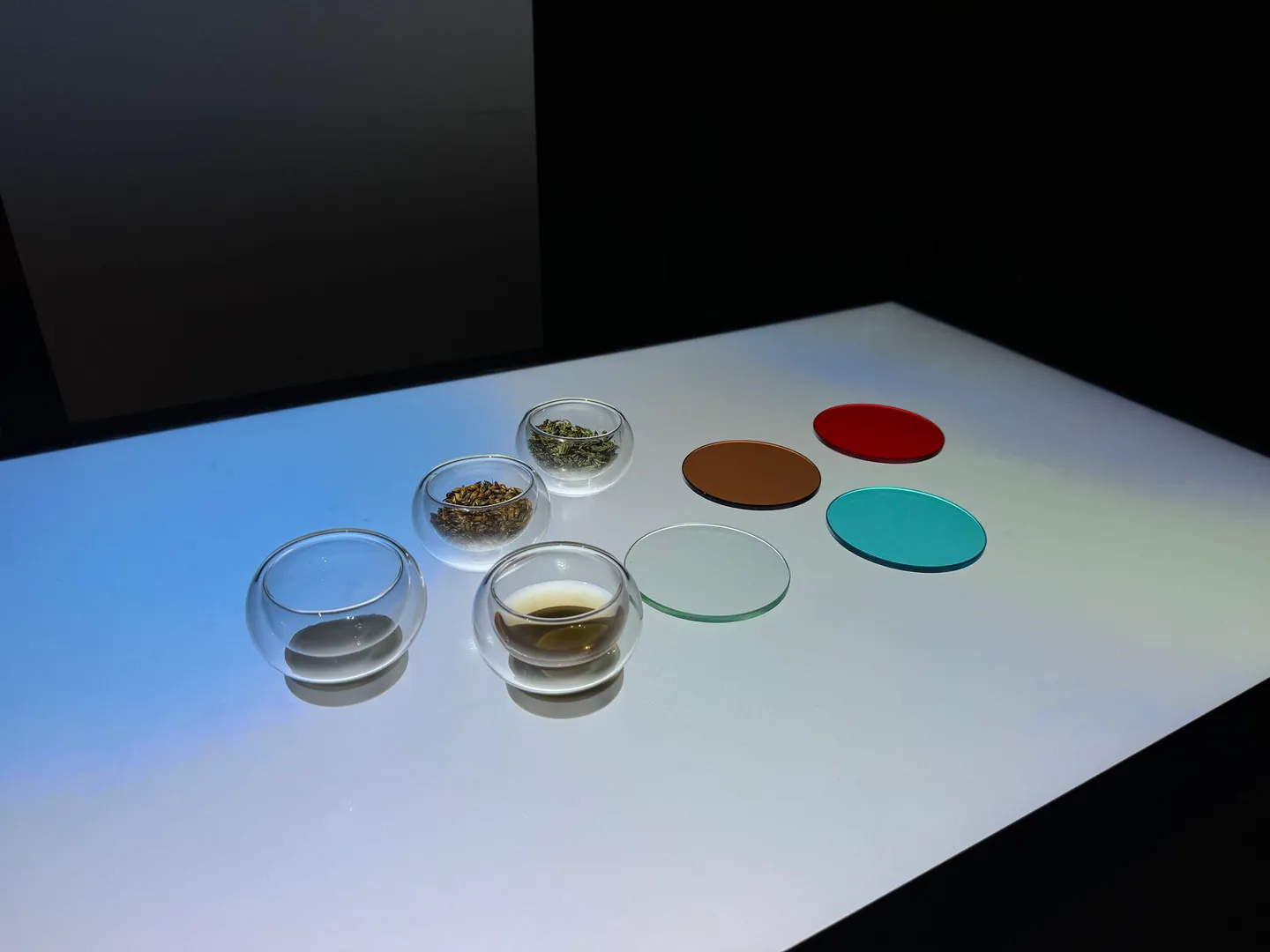 Image for the IxD project Blushed Experience