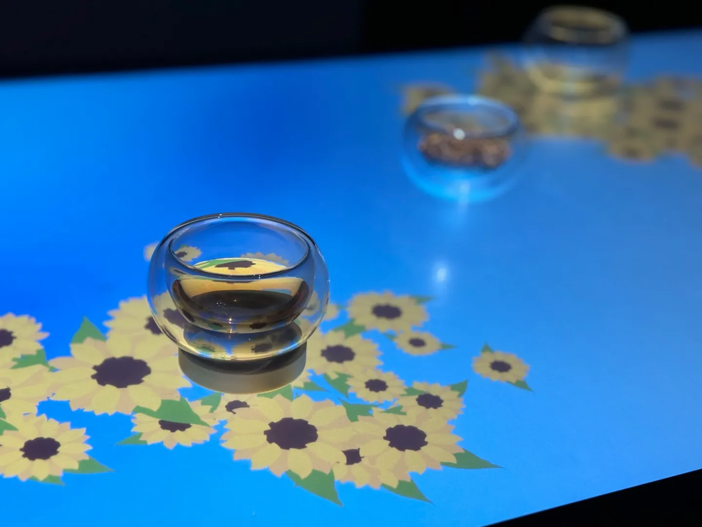 Image for the IxD project Blushed Experience